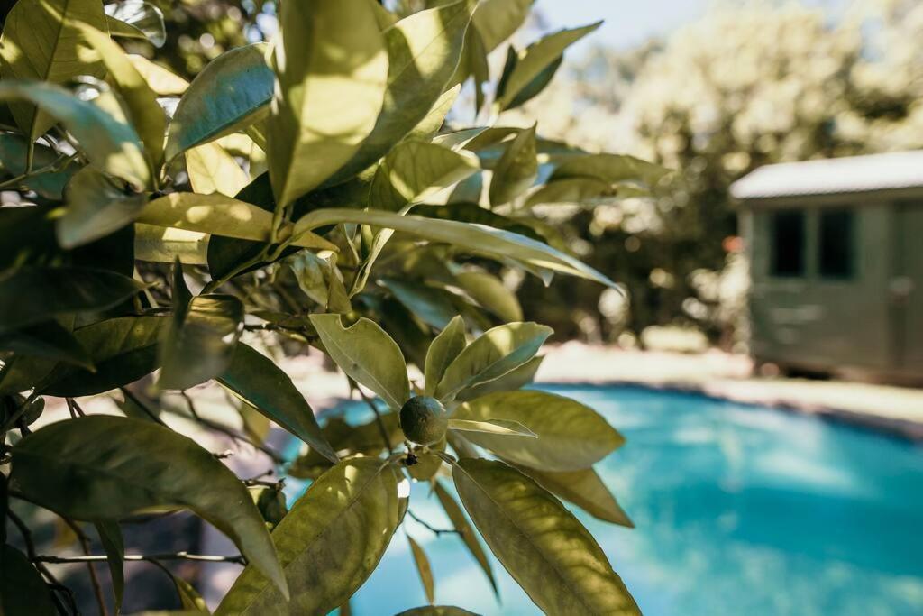 Classic Greyton Cottage For Two Eksteriør bilde